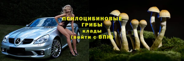 мескалин Мегион