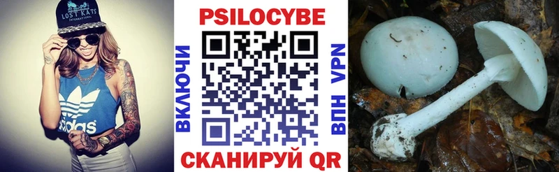 Псилоцибиновые грибы мухоморы  где найти   Шебекино 