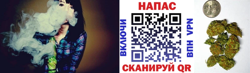 где найти   Шебекино  Марихуана конопля 